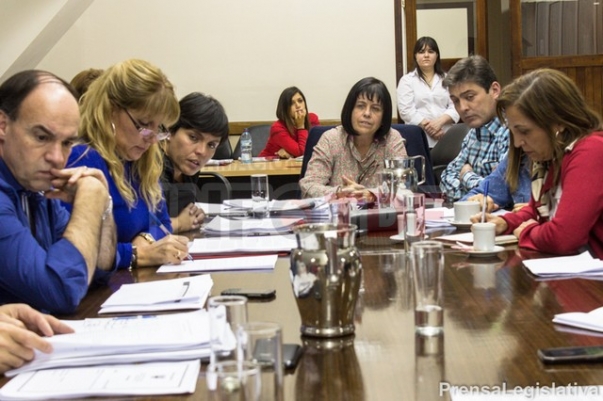 Se reunió con la Comisión de Salud por deterioro del sistema sanitario provincial