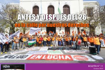 Boletín N° 11/2025