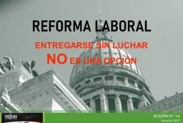 Boletín N° 14/2025