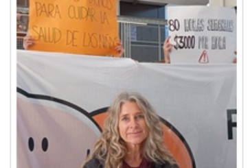 M. Fernanda Boriotti: 