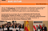 Boletín N° 08/2026